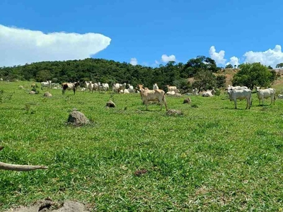 Fazenda com 3 quartos à venda no bairro Urucuia, 930000m²