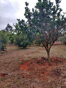 Fazenda com 3 quartos à venda no bairro Zona Rural, 150m²