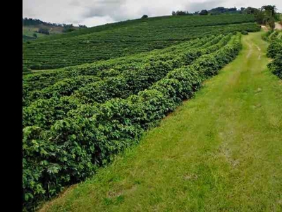 Fazenda com 3 quartos à venda no bairro Zona Rural, 3650000m²