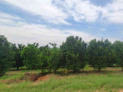 Fazenda com 3 quartos à venda no bairro Zona Rural, 920000m²