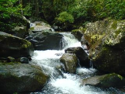 Fazenda Ecologica em Cachoeiras de Macacu