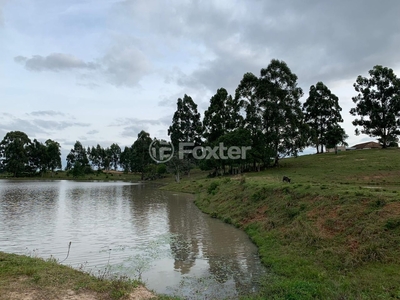 Fazenda / Sítio / Chácara à venda Travessa Albino Golo, Capela São Pedro - Camaquã