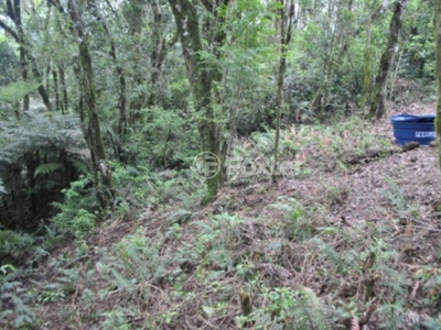 Terreno à venda Rodovia VRS-873, Centro - Morro Reuter