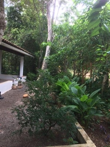 Casa na Floresta