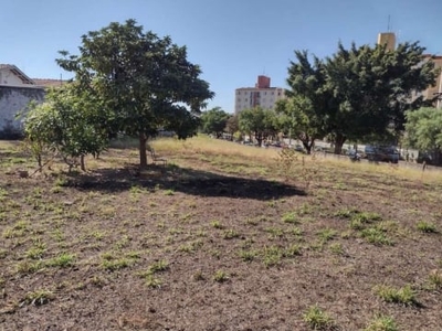 Terreno à venda na avenida josé fonseca arruda, --, jardim dos oliveiras, campinas por r$ 3.400.000