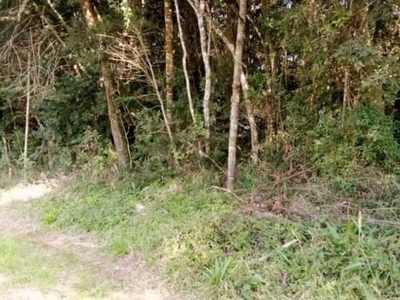 Terreno para venda em são josé dos pinhais, campo largo da roseira, 3 vagas