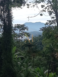 Terreno em Mato Dentro, Paraty/RJ de 10m² à venda por R$ 55.000,00