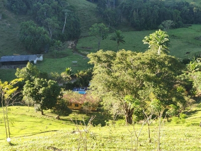 Chácara em , Silva Jardim/RJ de 1000m² 4 quartos à venda por R$ 1.299.000,00