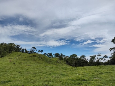 Terreno em , Rancho Queimado/SC de 0m² à venda por R$ 1.789.000,00