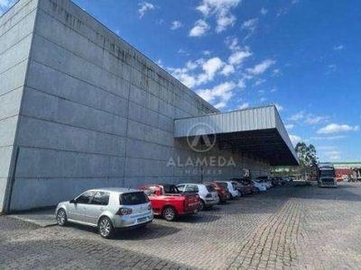 Galpão para alugar, 3379 m² por r$ 55.360,00/mês - encano norte - indaial/sc