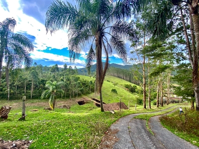 Terreno em Centro, Biguaçu/SC de 37m² à venda por R$ 948.000,00