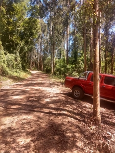 Terreno em Centro, Ponta Grossa/PR de 4280m² à venda por R$ 99.000,00