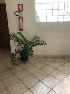 Apartamento 3/4, suite e varandas no Centro