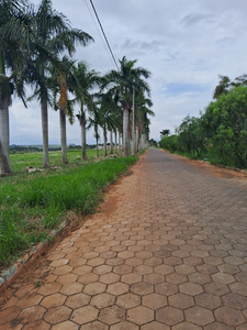 Terreno Em Carlópolis, Paraná Excelente Localização