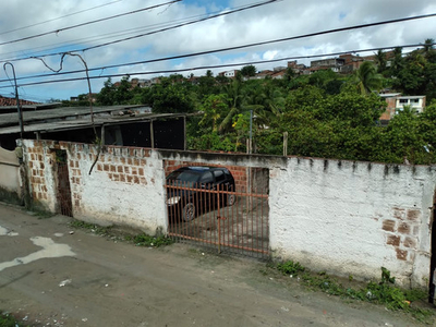 Casa Com Pequeno Sitio