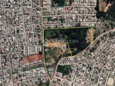 Excelente área 6 hectares localizada na malha urbana de gravataí a 4ª economia do rs. na avenida marechal rondon (avenida que separa gravataí e cachoeirinha ).