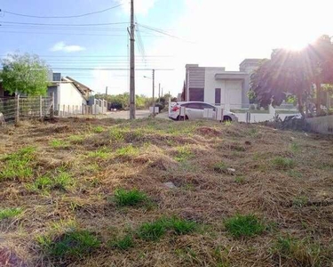 LAJEADO - Terreno Padrão - Universitário