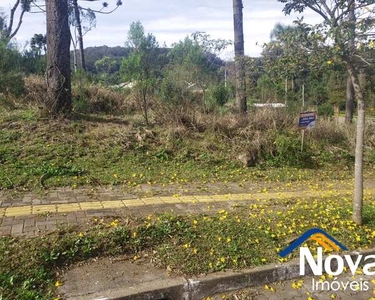 TERRENO RESIDENCIAL em NOVA PETRÓPOLIS - RS, Linha Imperial