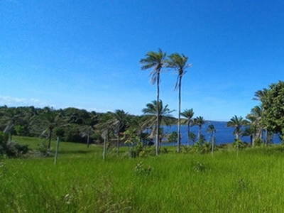 Terreno Com 360° De Vista. Praia Do Cassange Península De Maraú - Ba.