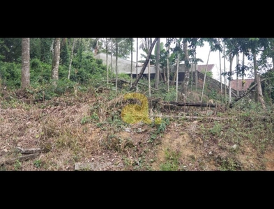 Terreno no Bairro Salto em Blumenau com 594.43 m²