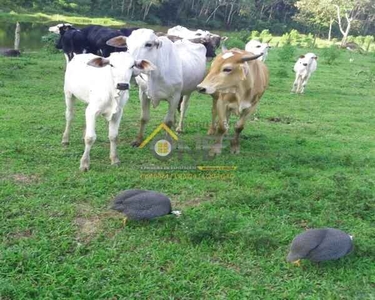 SITIO RURAL em ITAPERAI - SP, PRINCESA ISABEL