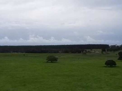 FAZENDA À VENDA EM TEIXEIRA DE FREITAS / BAHIA