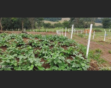 CHÁCARAS A VENDA PARCELADA, NA REGIÃO DE BONFINÓPOLIS GÓIAS !