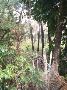Terreno em Parajuru, Beberibe/CE de 1000m² à venda por R$ 147.000,00