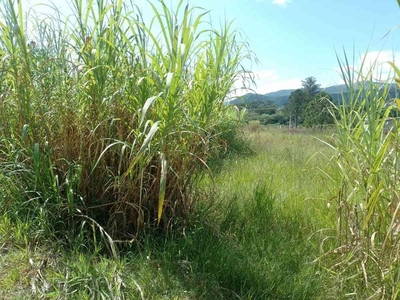 Lote à venda no bairro Jardim Estância Brasil, 1000m²