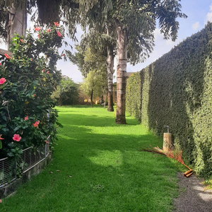 Vende Se Uma Chácara No Campo Belo