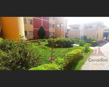 Apartamento com 2 dormitórios à venda, 59 m² por R$ 205.000,00 - Vila Santa Catarina - Ame