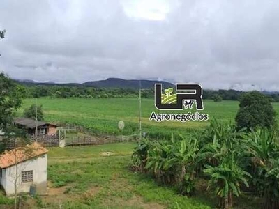 Fazenda de 146 alqueires em Vila Propício. Go