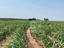 Sítio à venda no bairro Zona Rural em Cajuru