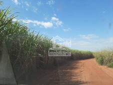 Sítio à venda no bairro Zona Rural em Cajuru