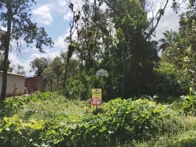 Terreno à venda na rua joinville, 300, palmital, garuva por r$ 87.000