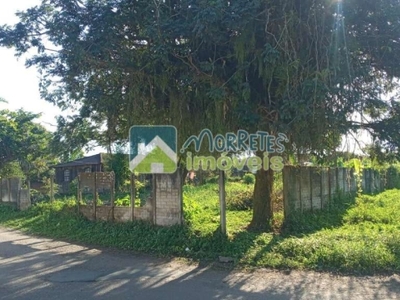 Terreno à venda no bairro vila das palmeiras - morretes/pr