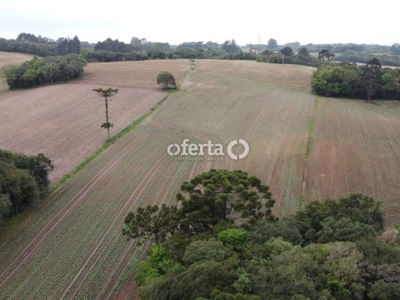 Terreno à venda no campo do meio, campo largo por r$ 2.500.000