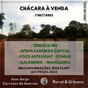Fazenda / Sítio / Chácara com 3 Quartos à venda, 250m² - Zona Rural