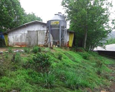 Sitio com 3(três)Aviários em Cascavel