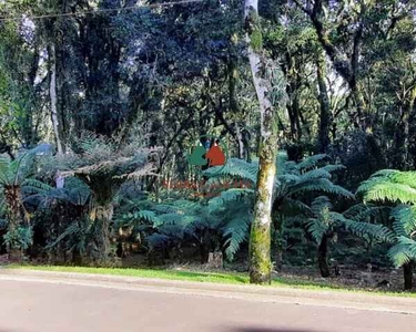 Terreno em Gramado no condomínio o Bosque com 1.093m², plano e com ótima posição solar