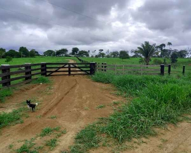 Vendo terra com 128 hectares com 120 formada parcelada pelo credito Agricola