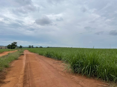 Fazenda em Jardim Quitandinha, Araraquara/SP de 10m² 1 quartos à venda por R$ 53.749.000,00