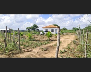 Sitio com frutíferas, horta, galinheiro e área para plantar