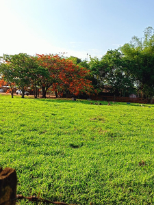 Gleba Em Barretos - Terreno , Lote , Fazenda , Casa , Condomínio , Rural , Sítio , Chácara , Loteamento