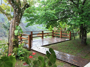 Sitio Condomínio Fechado Juquitiba. Lugar Perfeito Para A Família!!! Preço Negociável!!!