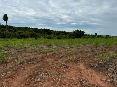 Fazenda em Centro, São José do Rio Preto/SP de 329120m² 1 quartos à venda por R$ 3.127.000,00