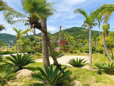 Terreno à venda, 450 m² por r$ 530.000,00 - vargem grande - florianópolis/sc
