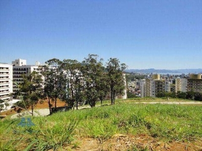 Terreno à venda, 480 m² por r$ 999.000,00 - itacorubi - florianópolis/sc