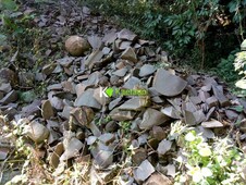 Fazenda à venda no bairro Zona Rural em Itaara