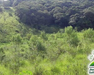 CHACARA RURAL em Socorro - SP, Rubins